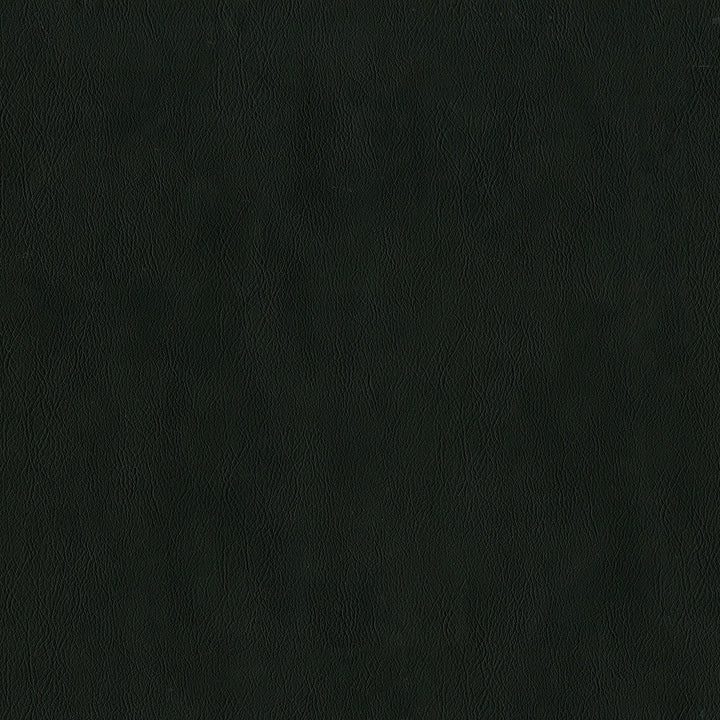 Jackson # 640 Onyx by Maxwell Designer Fabric Jackson FACE: 100% PVC
BACKING: 100% POLYESTER CHINA 55" - Swanky Fabrics -