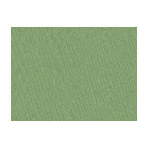 Brunschwig & Fils Fabric Jour Sage
