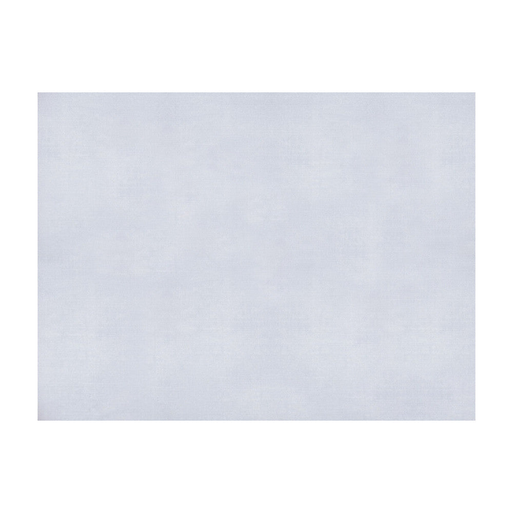 Sukhothai White by Brunschwig & Fils Fabric Brunschwig & Fils Fabric Sukhothai WhiteFabric JAGTAR SILK - 100% Thailand </p><p>Repeat: H: 0, V: 0 55 - Fabric Carolina -