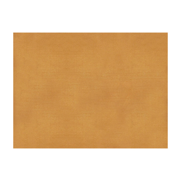 Sukhothai Apricot by Brunschwig & Fils Fabric Brunschwig & Fils Fabric Sukhothai ApricotFabric JAGTAR SILK - 100% Thailand </p><p>Repeat: H: 0, V: 0 55 - Fabric Carolina -