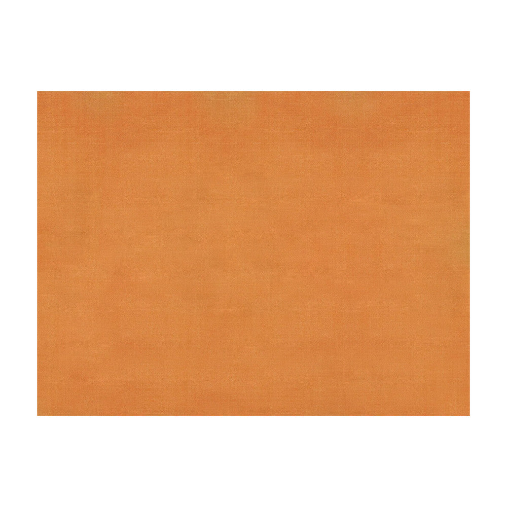 Sukhothai Arancia by Brunschwig & Fils Fabric Brunschwig & Fils Fabric Sukhothai AranciaFabric JAGTAR SILK - 100% Thailand </p><p>Repeat: H: 0, V: 0 55 - Fabric Carolina -