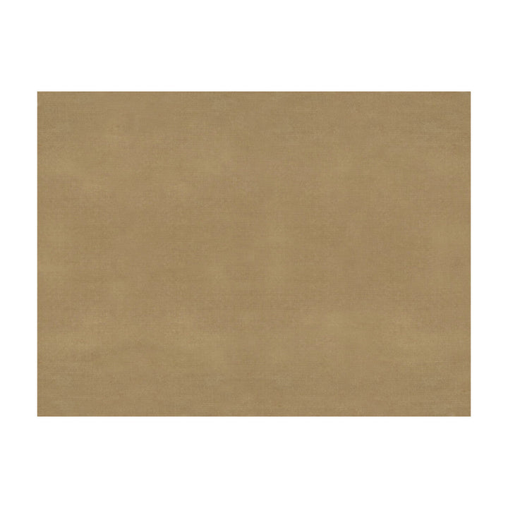 Sukhothai Tan by Brunschwig & Fils Fabric Brunschwig & Fils Fabric Sukhothai TanFabric JAGTAR SILK - 100% Thailand </p><p>Repeat: H: 0, V: 0 55 - Fabric Carolina -
