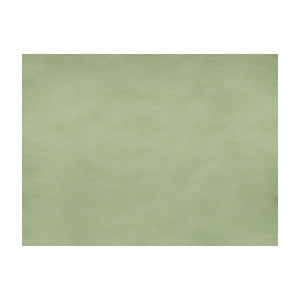 Brunschwig & Fils Fabric Sukhothai Celadon Green