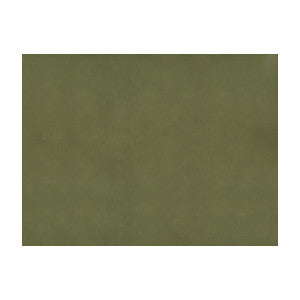 Brunschwig & Fils Fabric Sukhothai Olive
