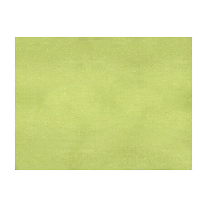 Sukhothai Lemon Green by Brunschwig & Fils Fabric Brunschwig & Fils Fabric Sukhothai Lemon GreenFabric JAGTAR SILK - 100% Thailand </p><p>Repeat: H: 0, V: 0 55 - Fabric Carolina -