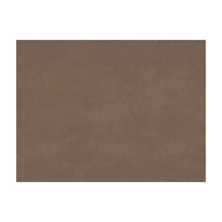 Sukhothai Sandstone by Brunschwig & Fils Fabric Brunschwig & Fils Fabric Sukhothai SandstoneFabric JAGTAR SILK - 100% Thailand </p><p>Repeat: H: 0, V: 0 55 - Fabric Carolina -