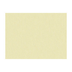 Brunschwig & Fils Fabric Shots Pongee