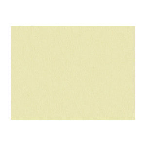 Brunschwig & Fils Fabric Shots Parchment