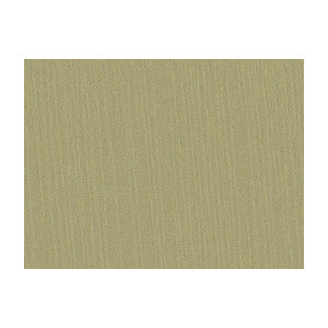 Brunschwig & Fils Fabric Shots Greige Dore