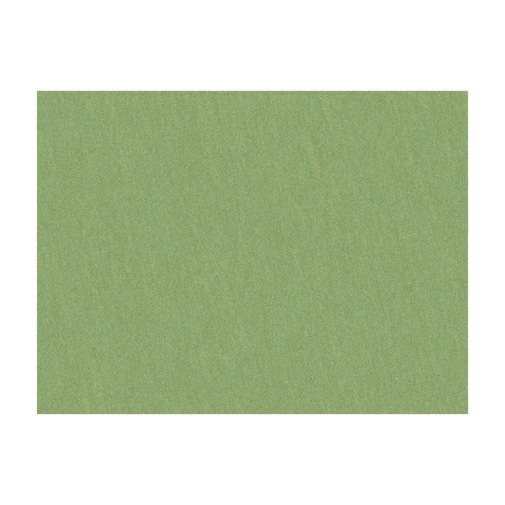 Shots Tarragon by Brunschwig & Fils Fabric Brunschwig & Fils Fabric Shots TarragonFabric JAGTAR SILK - 100% Thailand </p><p>Repeat: H: 0, V: 0 54 - Fabric Carolina -