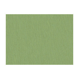 Brunschwig & Fils Fabric Shots Tarragon