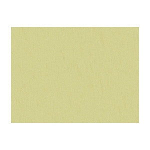 Brunschwig & Fils Fabric Shots Spanish Moss