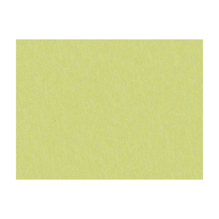 Shots Citrine by Brunschwig & Fils Fabric Brunschwig & Fils Fabric Shots CitrineFabric JAGTAR SILK - 100% Thailand </p><p>Repeat: H: 0, V: 0 54 - Fabric Carolina -