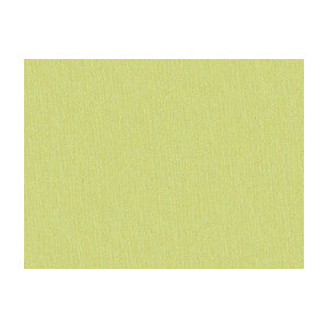 Brunschwig & Fils Fabric Shots Citrine
