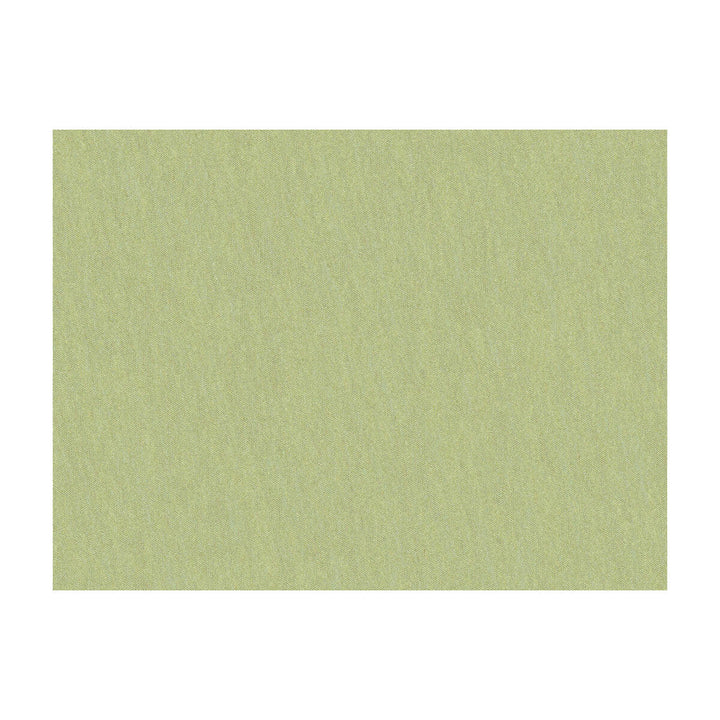 Shots Marjoram by Brunschwig & Fils Fabric Brunschwig & Fils Fabric Shots MarjoramFabric JAGTAR SILK - 100% Thailand </p><p>Repeat: H: 0, V: 0 54 - Fabric Carolina -
