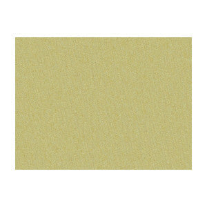 Brunschwig & Fils Fabric Shots Bronzetto