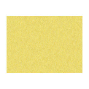 Brunschwig & Fils Fabric Shots Oro Da Firenze