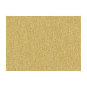 Brunschwig & Fils Fabric Shots Vicuna