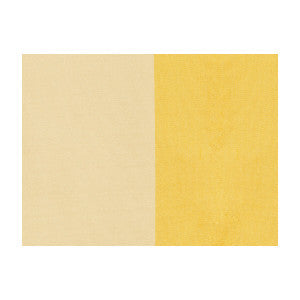 Brunschwig & Fils Fabric Petersburg Stp Lemonice