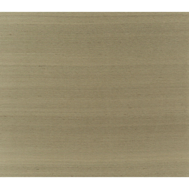 Silk Twist Cafe Au Lait by Brunschwig & Fils Fabric Brunschwig & Fils Fabric Silk Twist Cafe Au LaitFabric JAGTAR SILK - 100% Thailand </p><p>Repeat: H: 0, V: 0 48 - Fabric Carolina -