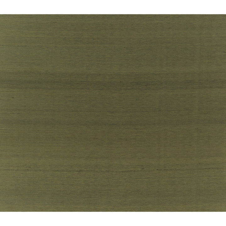 Silk Twist Moss by Brunschwig & Fils Fabric Brunschwig & Fils Fabric Silk Twist MossFabric JAGTAR SILK - 100% Thailand </p><p>Repeat: H: 0, V: 0 48 - Fabric Carolina -