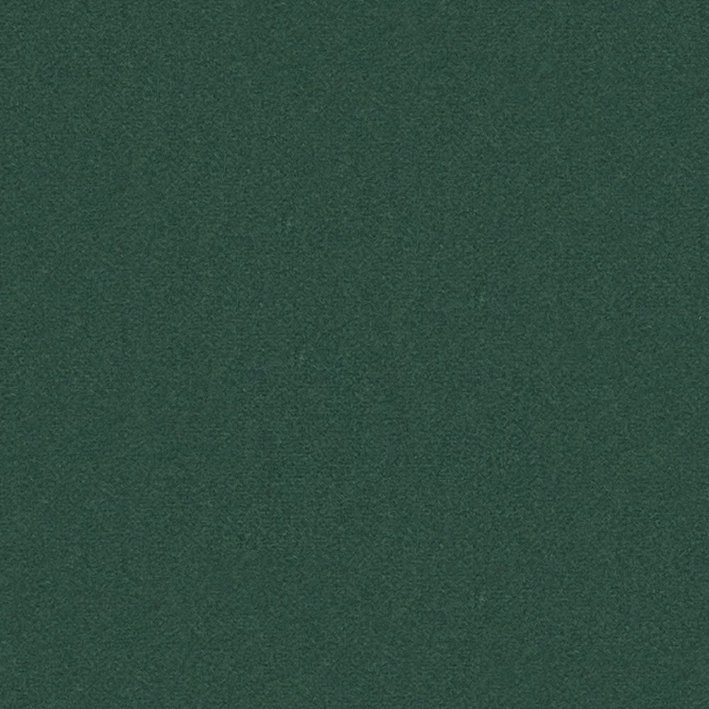 Jiavani-Dl # 108 Bonsai by Maxwell Designer Fabric Memos Only- Fr Drapery Velvet 100% POLYESTER INDIA 54" - Swanky Fabrics -