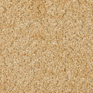 Norbar Fabric Jericho Teddy