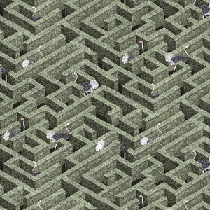 Kravet Wallpaper Labyrinth With Ostriches 1