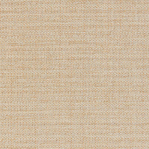JF Crypton Fabric Jordan 12J7721