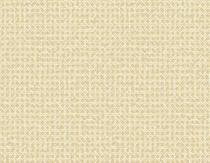 Mika Wheat JP11203 by Seabrook Designs Designer Wallpaper
