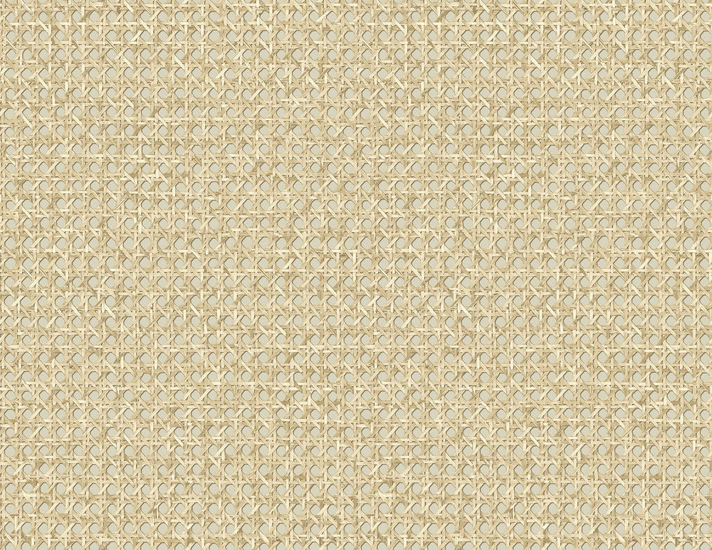 Mika Hemp JP11205 by Seabrook Designs Designer Wallpaper