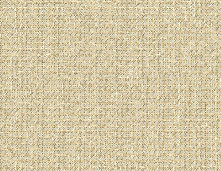 Mika Hemp JP11205 by Seabrook Designs Designer Wallpaper