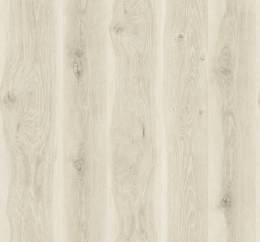 Kieri Mellow Cedar JP11305 by Seabrook Designs Designer Wallpaper