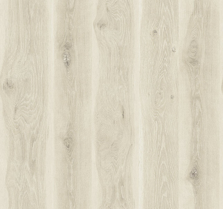Kieri Mellow Cedar JP11305 by Seabrook Designs Designer Wallpaper