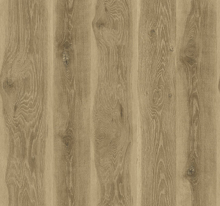 Kieri Walnut JP11307 by Seabrook Designs Designer Wallpaper