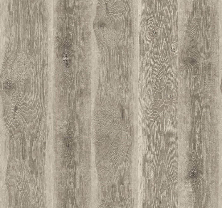 Kieri Ash Brown JP11315 by Seabrook Designs Designer Wallpaper