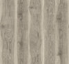 Seabrook Designs Wallpaper Kieri Ash Brown JP11315