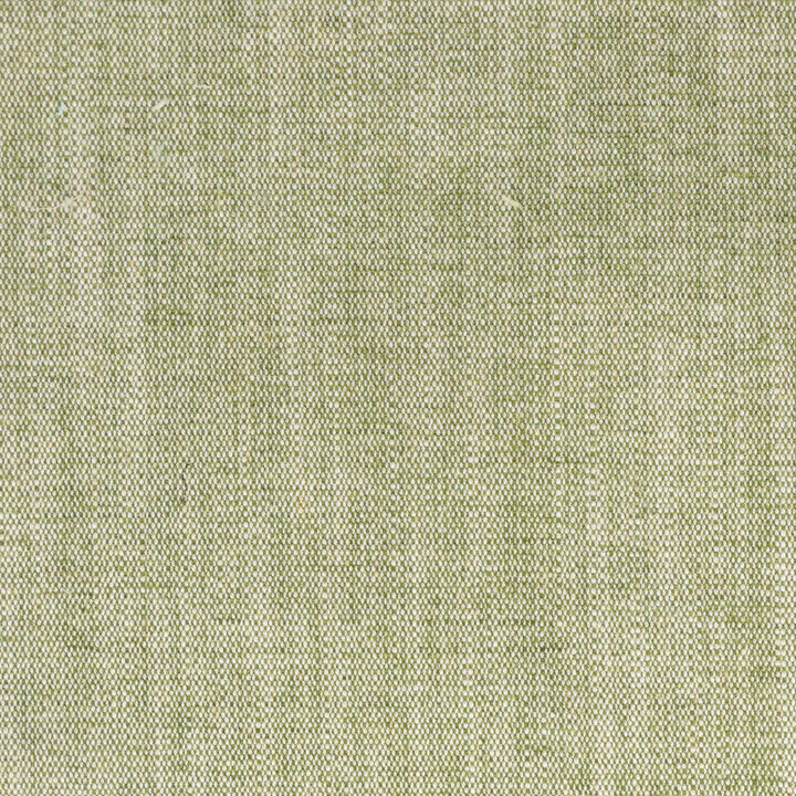 Judson 6 Basil by Stout Fabric Stout Fabric Judson 6 BasilFabric RAINBOW LIBRARY PEAR/JUNGLE TURKEY </p><p>Repeat: H: 0.000, V: 0.000 54 in - Fabric Carolina -