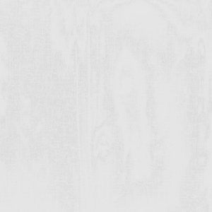 Jupiter Winter White by Norbar Designer Fabric SHEER IMAGE 100% POLYESTER TURKEY 130 - Swanky Fabrics -