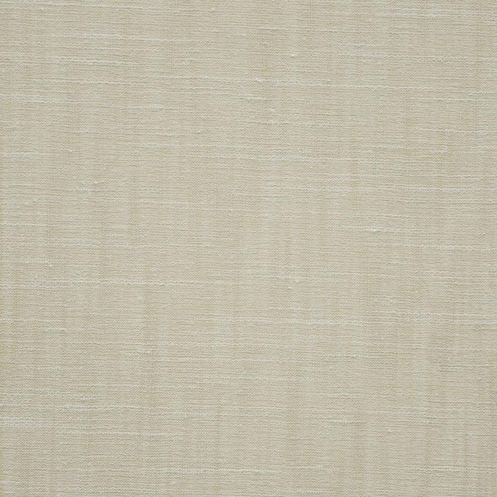 Kane # 136 Chablis by Maxwell Designer Fabric Pure & Simple Ix 100% POLYESTER INDIA 54" - Swanky Fabrics -