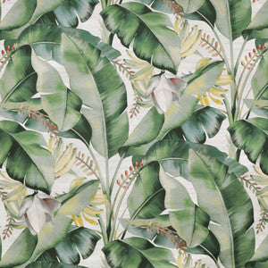 Maxwell Fabric Kona # 521 Aloe