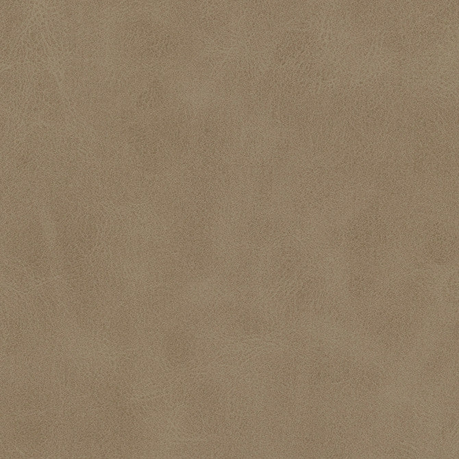 Kiki-Nj # 827 Shiitake by Maxwell Designer Fabric Memos Only-Coated Fabrics FACE: 100% SILICONE BASE: 100% POLYURETHANE (POLYCARBONATE) BACKING: 100% POLYESTER KOREA 54" - Swanky Fabrics -
