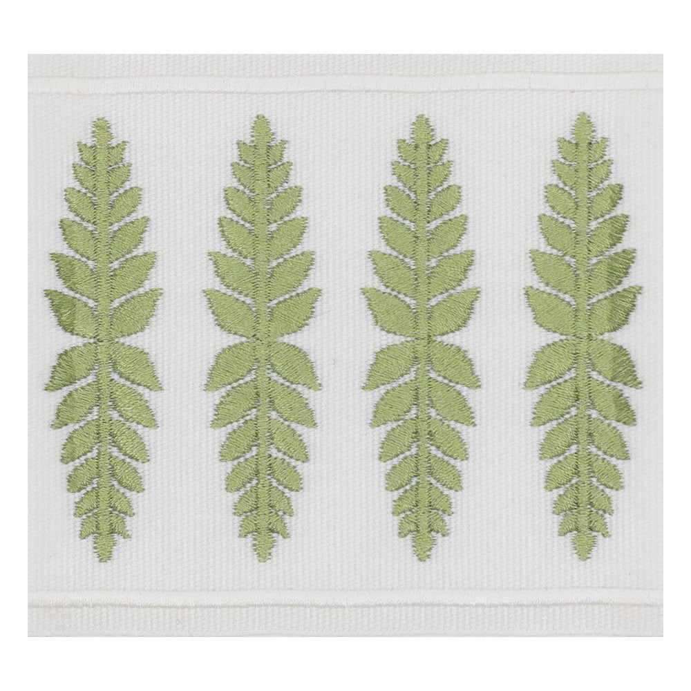 Kailua Tape 3 Moss by Stout Trim Stout Trim Kailua Tape 3 MossTrim SMALL WONDERS TRIM 100%POL CHINA </p><p>Repeat: H: 1.000, V: 0.000 3.5 in - Fabric Carolina -