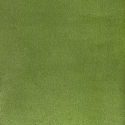 KW-10065.3685MGGN.0 by Kravet Fabric Kravet Fabric KW-10065.3685MGGN.0Fabric POLYESTER - 100% Taiwan </p><p>Repeat: H: , V: 57 - Fabric Carolina -
