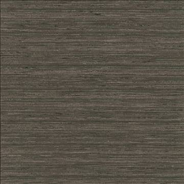 Kasmir Fabric Karma Coal