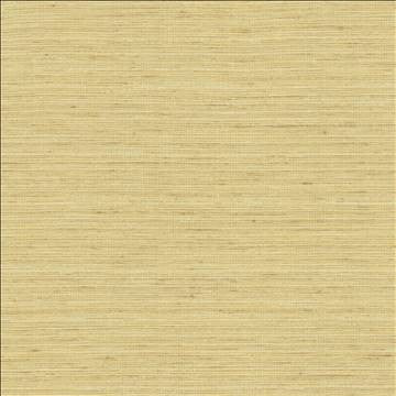 Kasmir Fabric Karma Ecru