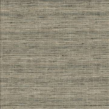 Kasmir Fabric Karma Pewter