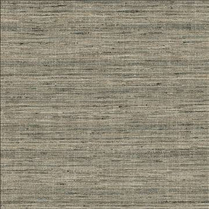Kasmir Fabric Karma Pewter