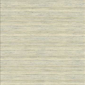 Kasmir Fabric Karma Silver