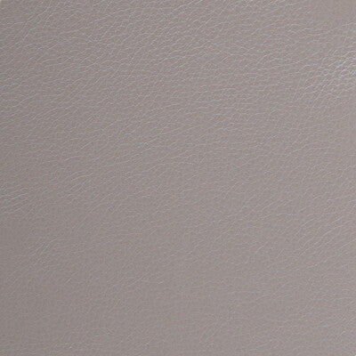 Kravet Design - Upholstery - L-DELUXE.SILVER.0 - Upholstery - LEATHER - 100% - Brazil </p><p>Repeat: H: , V: 27.5 21 - My Fabric Connection -